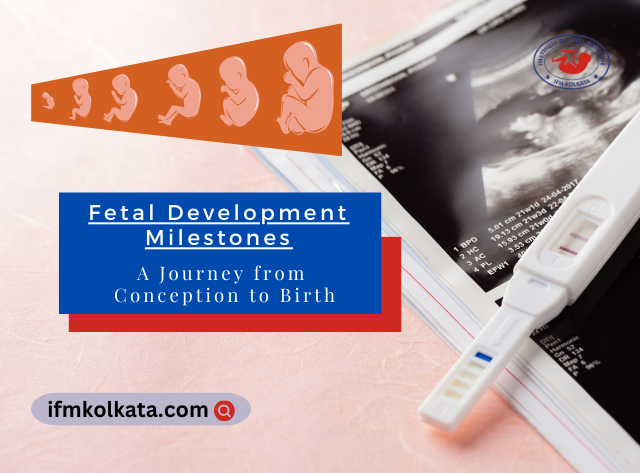 Fetal Development Milestones A Journey from Conception to Birth