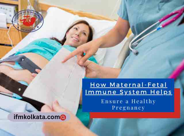 How Maternal-Fetal Immune System Helps Ensure a Healthy Pregnancy