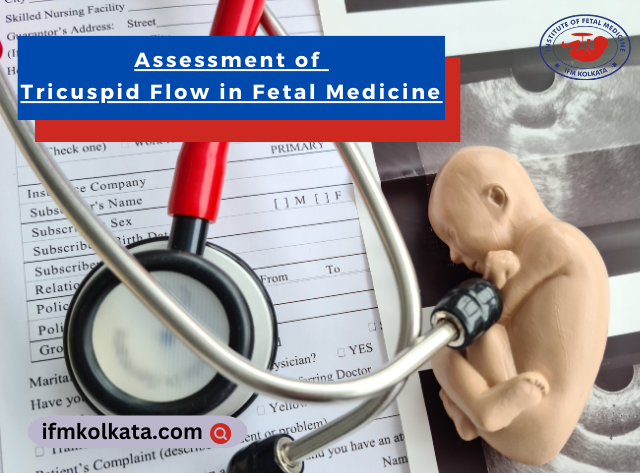 Assessment of Tricuspid Flow in Fetal Medicine