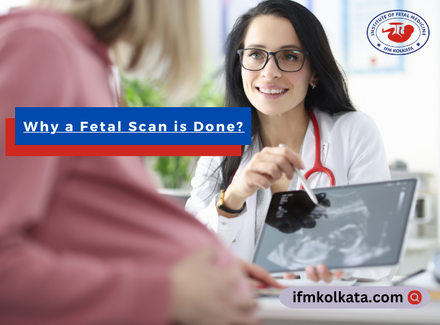 Why a Fetal Scan is Done