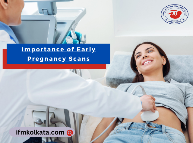 Importance of Early Pregnancy Scans