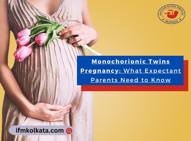 Monochorionic Twins Pregnancy What Expectant Parents Need to Know