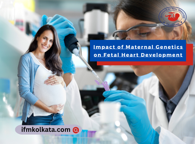 Impact of Maternal Genetics on Fetal Heart Development