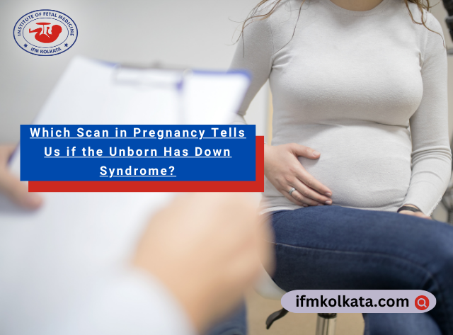 Scan in pregnancy